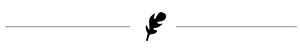 Grafik_Linie-schwarz